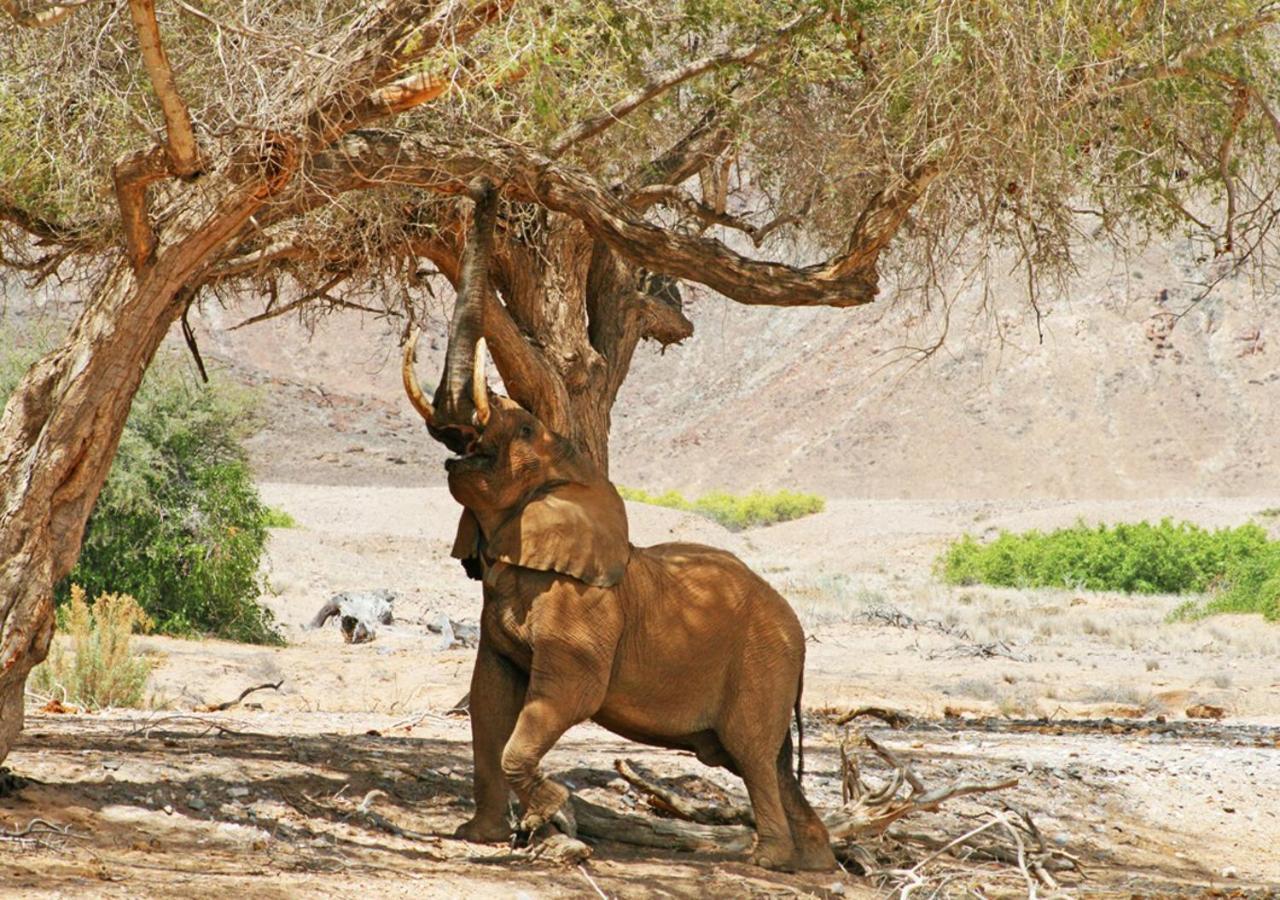 Khowarib Lodge Dış mekan fotoğraf