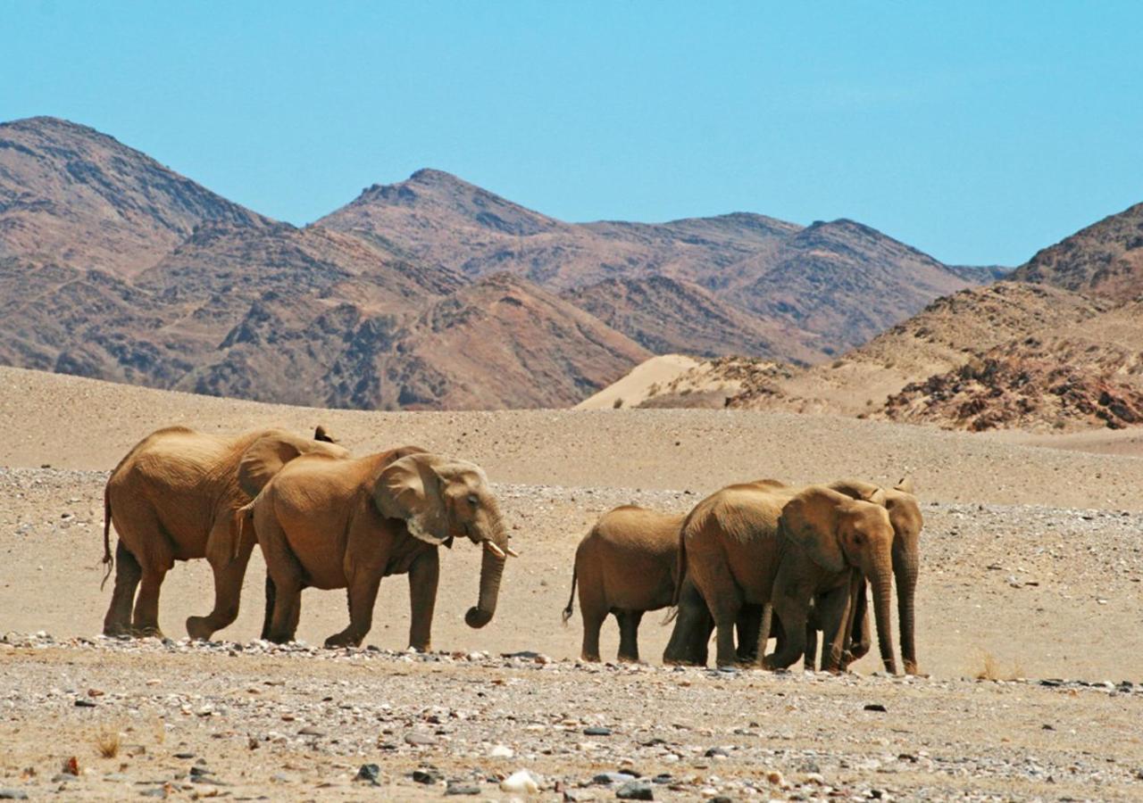 Khowarib Lodge Dış mekan fotoğraf