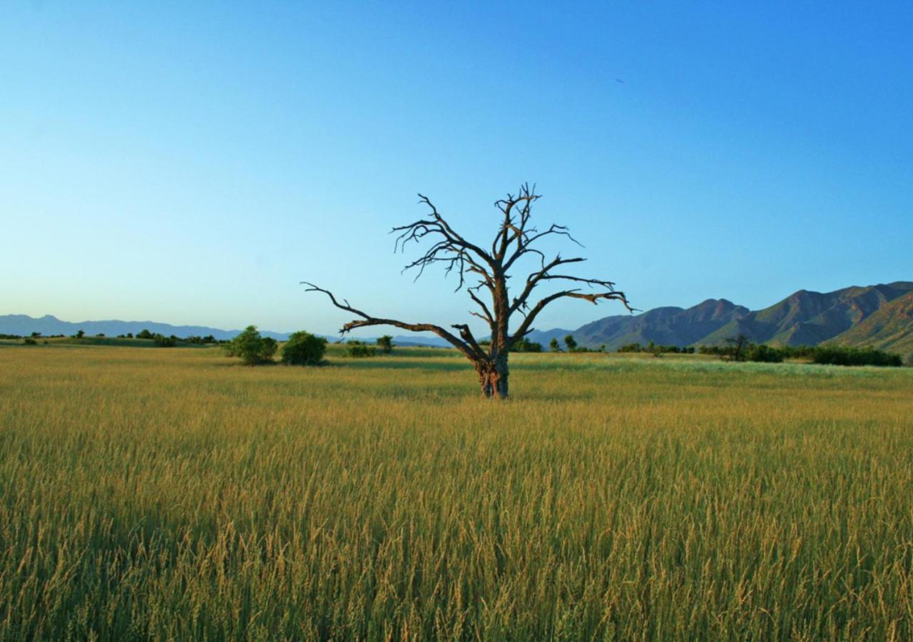 Khowarib Lodge Dış mekan fotoğraf