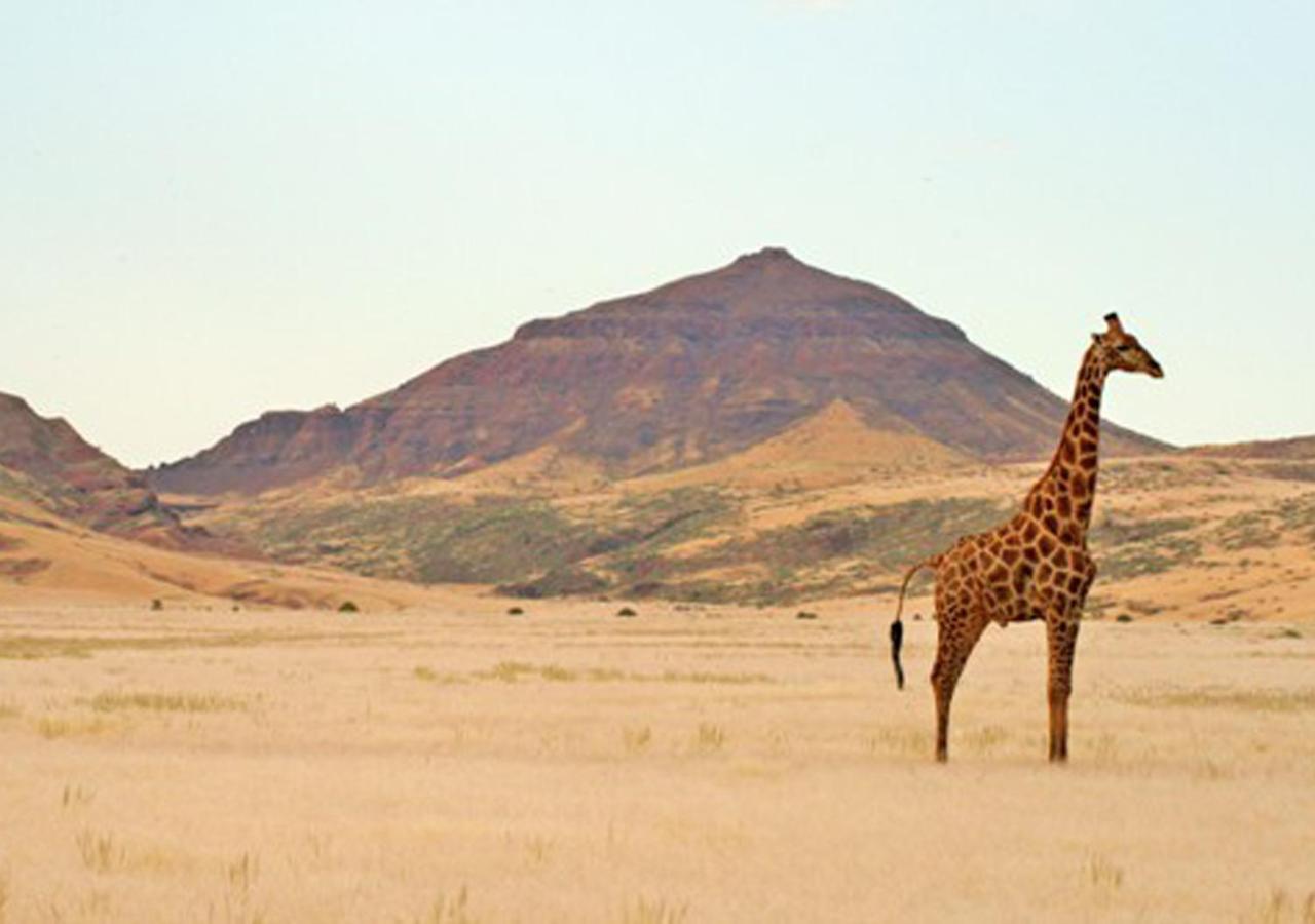 Khowarib Lodge Dış mekan fotoğraf